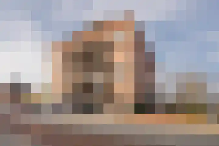 Sparreboomstraat 16 Nijkerk thumbnail 6