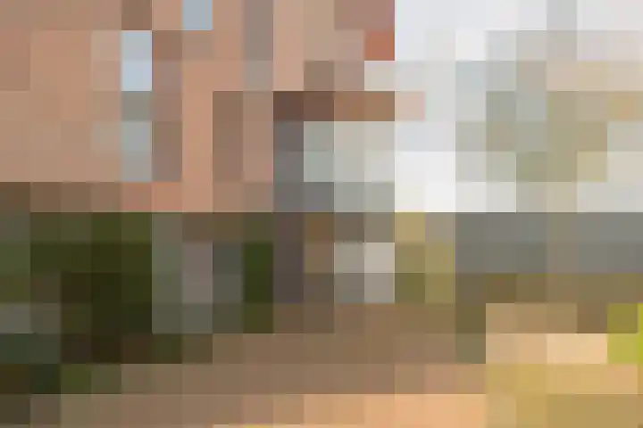 Sparreboomstraat 16 Nijkerk thumbnail 7