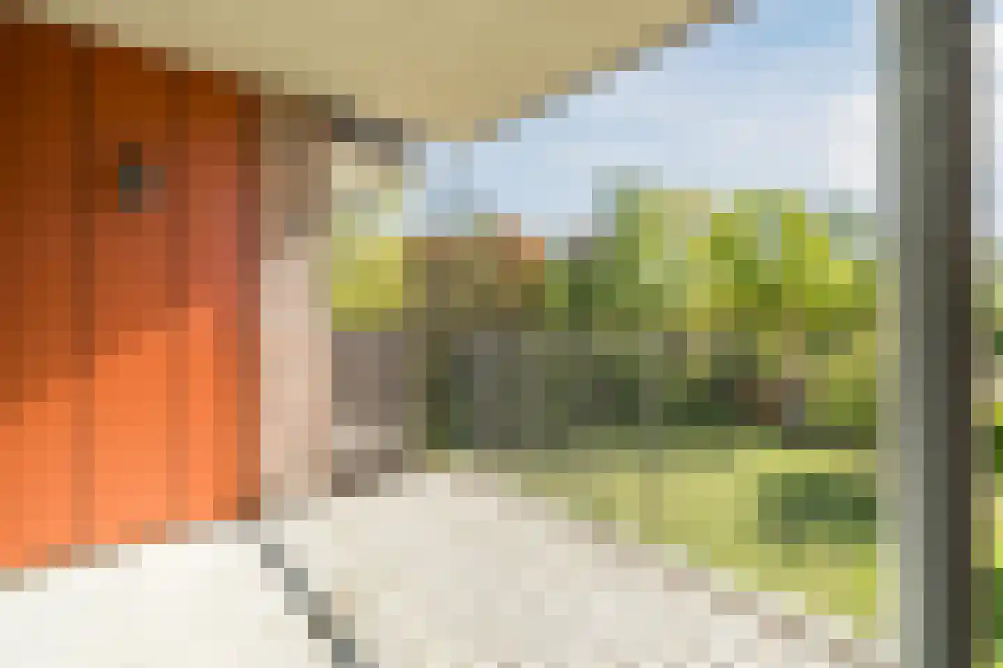 Sparreboomstraat 19 Nijkerk thumbnail 5