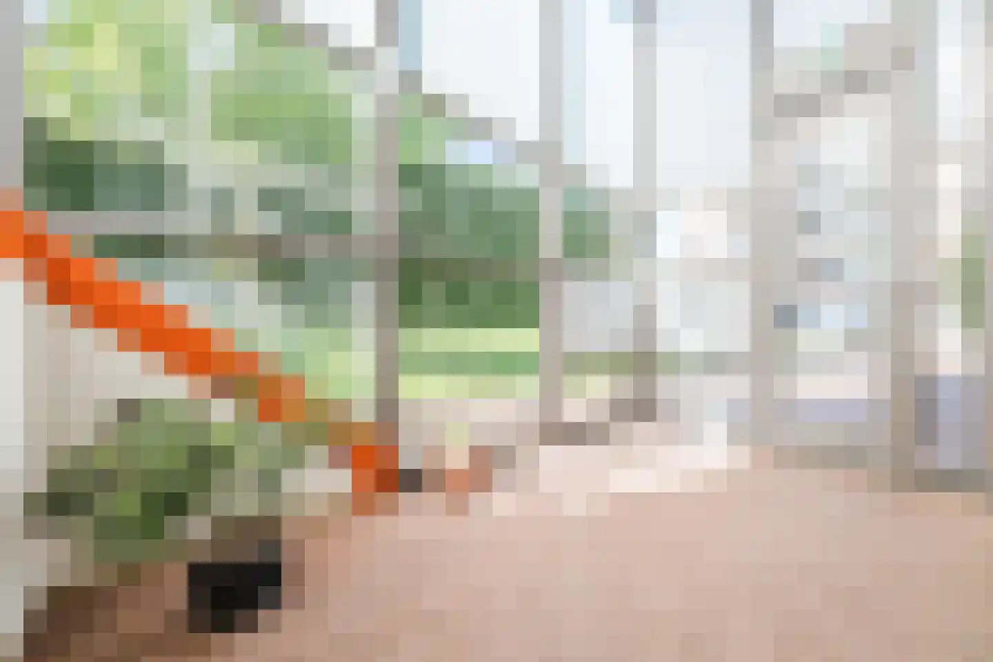 Sparreboomstraat 19 Nijkerk thumbnail 8