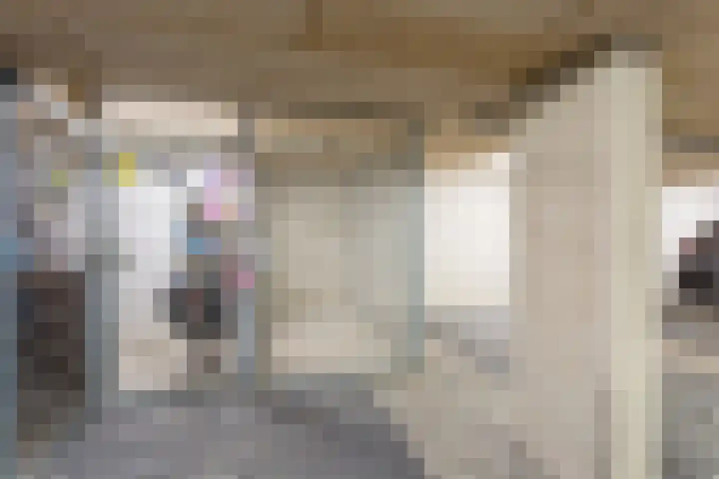 Sparreboomstraat 50 Nijkerk thumbnail 34