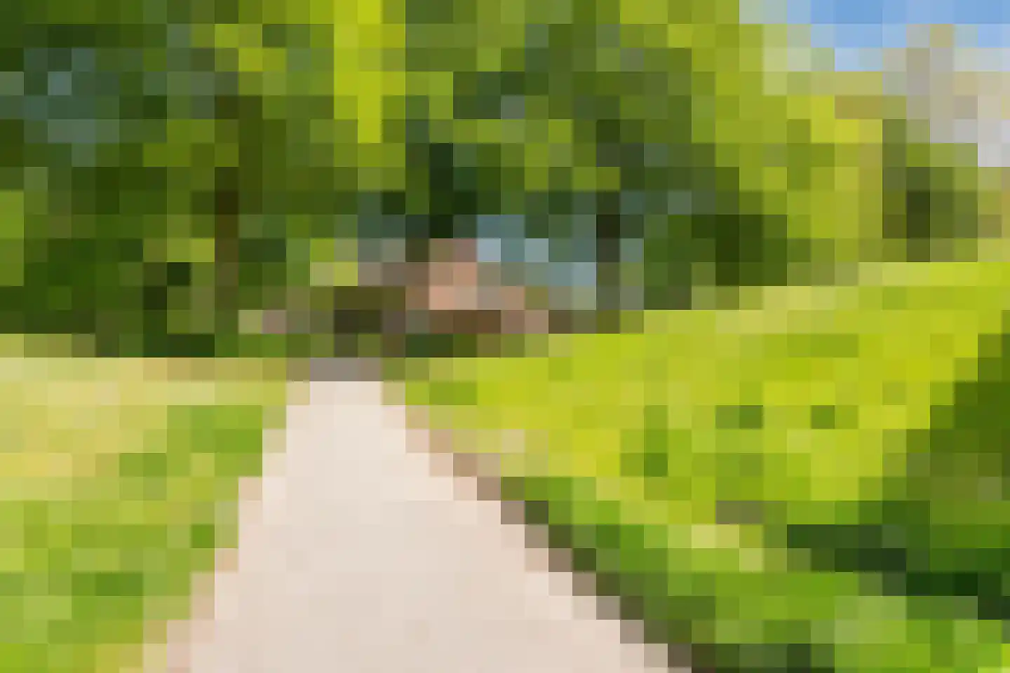 Sparreboomstraat 50 Nijkerk thumbnail 37