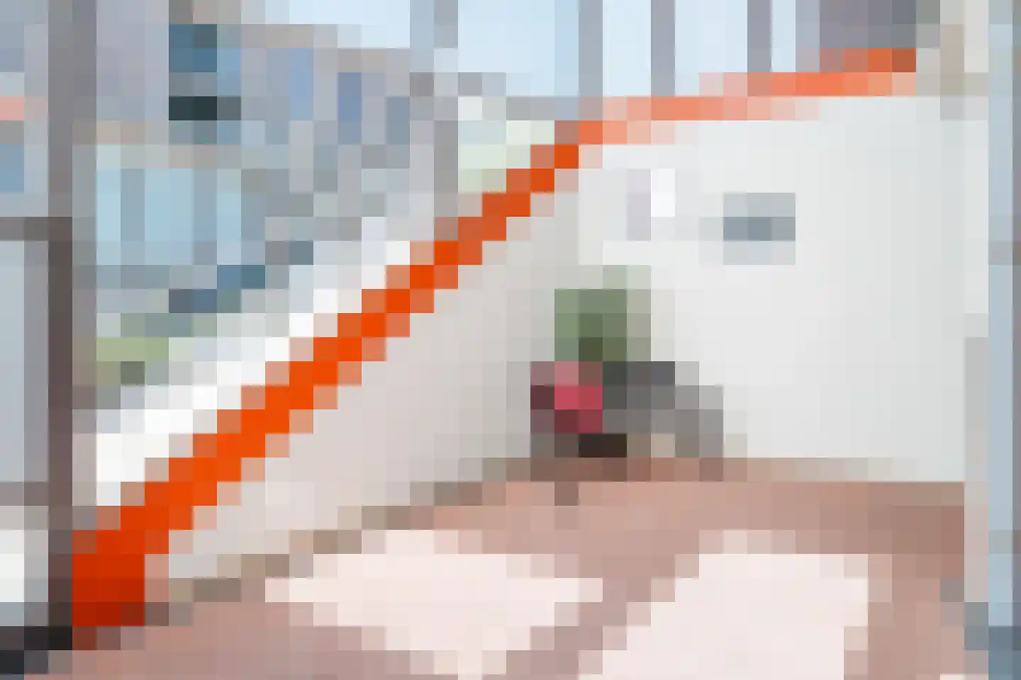 Sparreboomstraat 74 Nijkerk thumbnail 10
