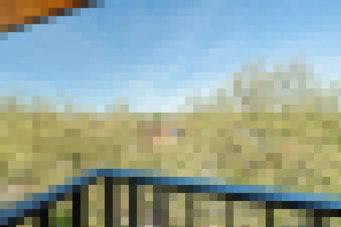 Sparreboomstraat 74 Nijkerk thumbnail 5