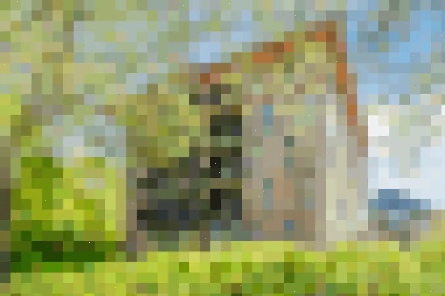 Sparreboomstraat 74 Nijkerk thumbnail 6