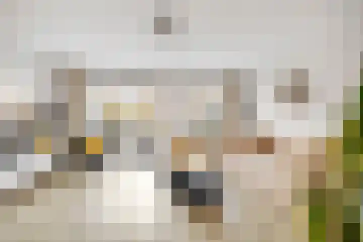 Sparregat 8 Brielle thumbnail 10