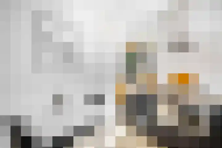Sparregat 8 Brielle thumbnail 17