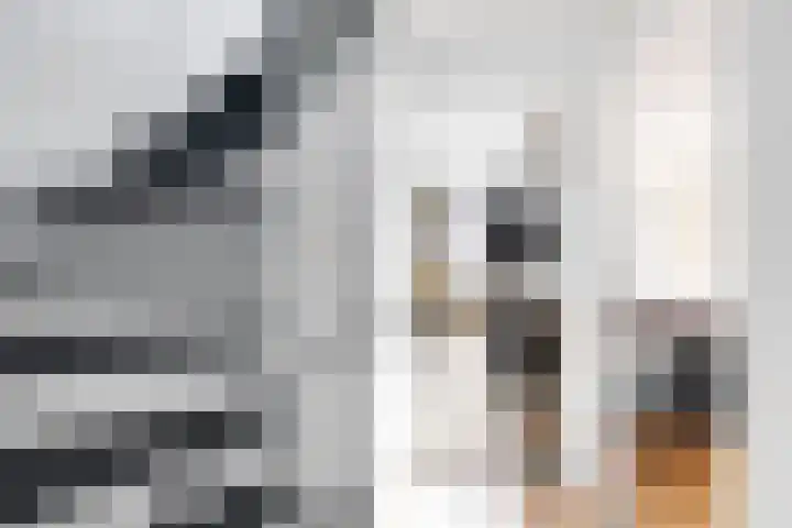Sparregat 8 Brielle thumbnail 25