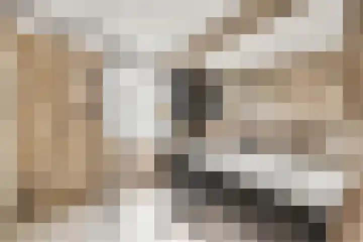 Sparregat 8 Brielle thumbnail 29