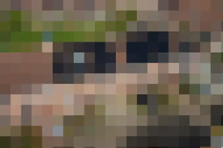 Sparregat 8 Brielle thumbnail 46