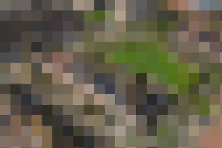 Sparregat 8 Brielle thumbnail 47