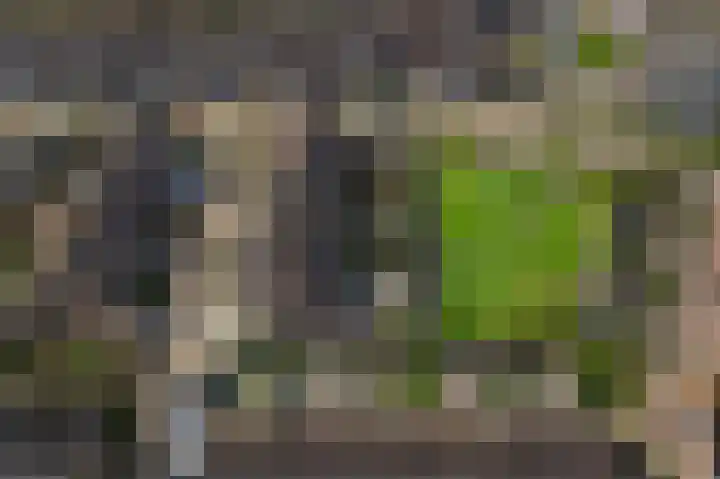Sparregat 8 Brielle thumbnail 48
