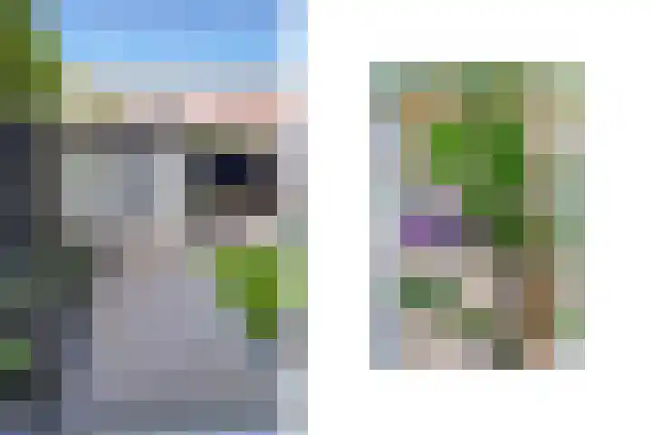 Sparrelaan 20 Rijswijk thumbnail 16