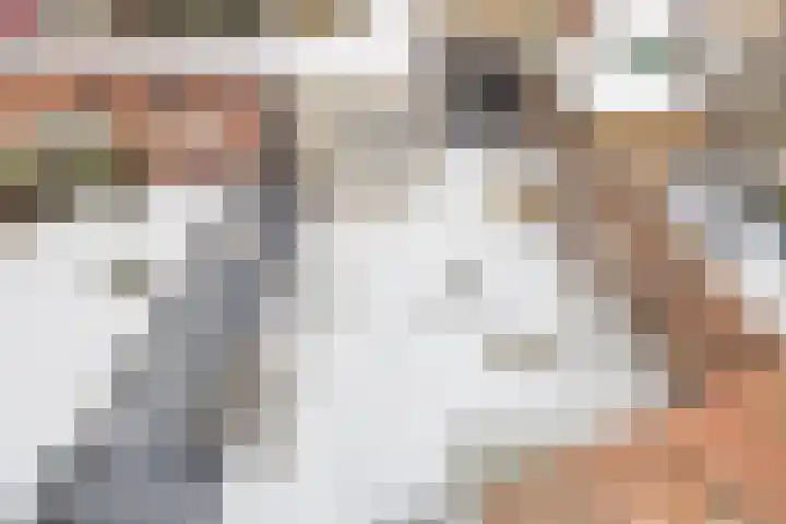 Sparrelaan 20 Rijswijk thumbnail 26