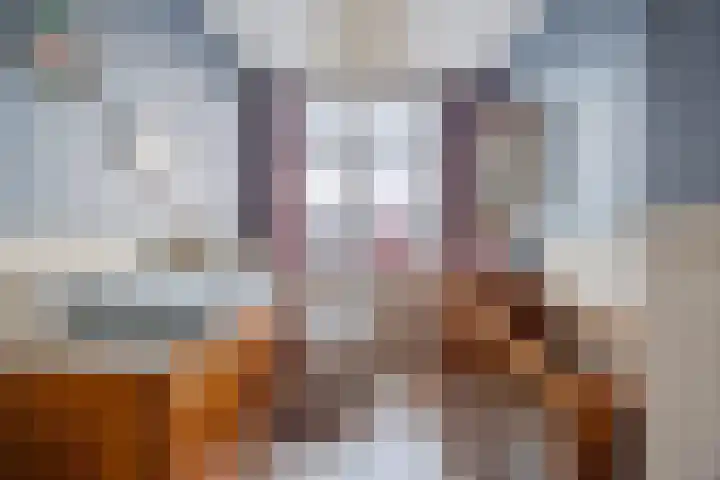Sparrelaan 20 Rijswijk thumbnail 29
