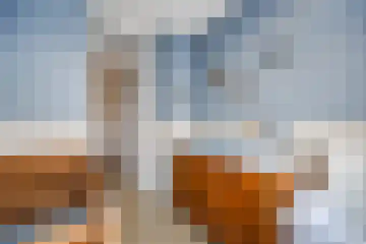 Sparrelaan 20 Rijswijk thumbnail 30