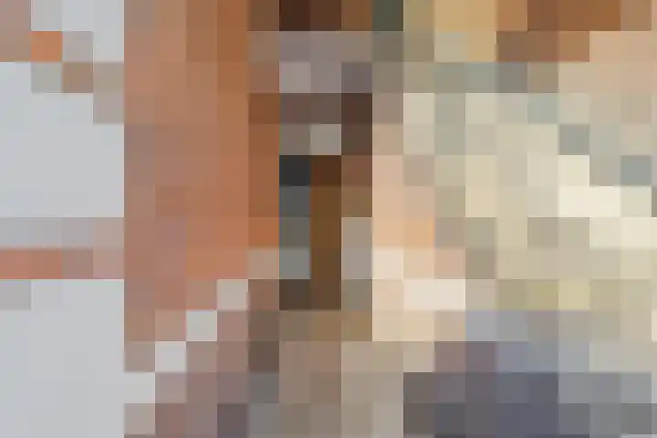 Sparrelaan 20 Rijswijk thumbnail 6