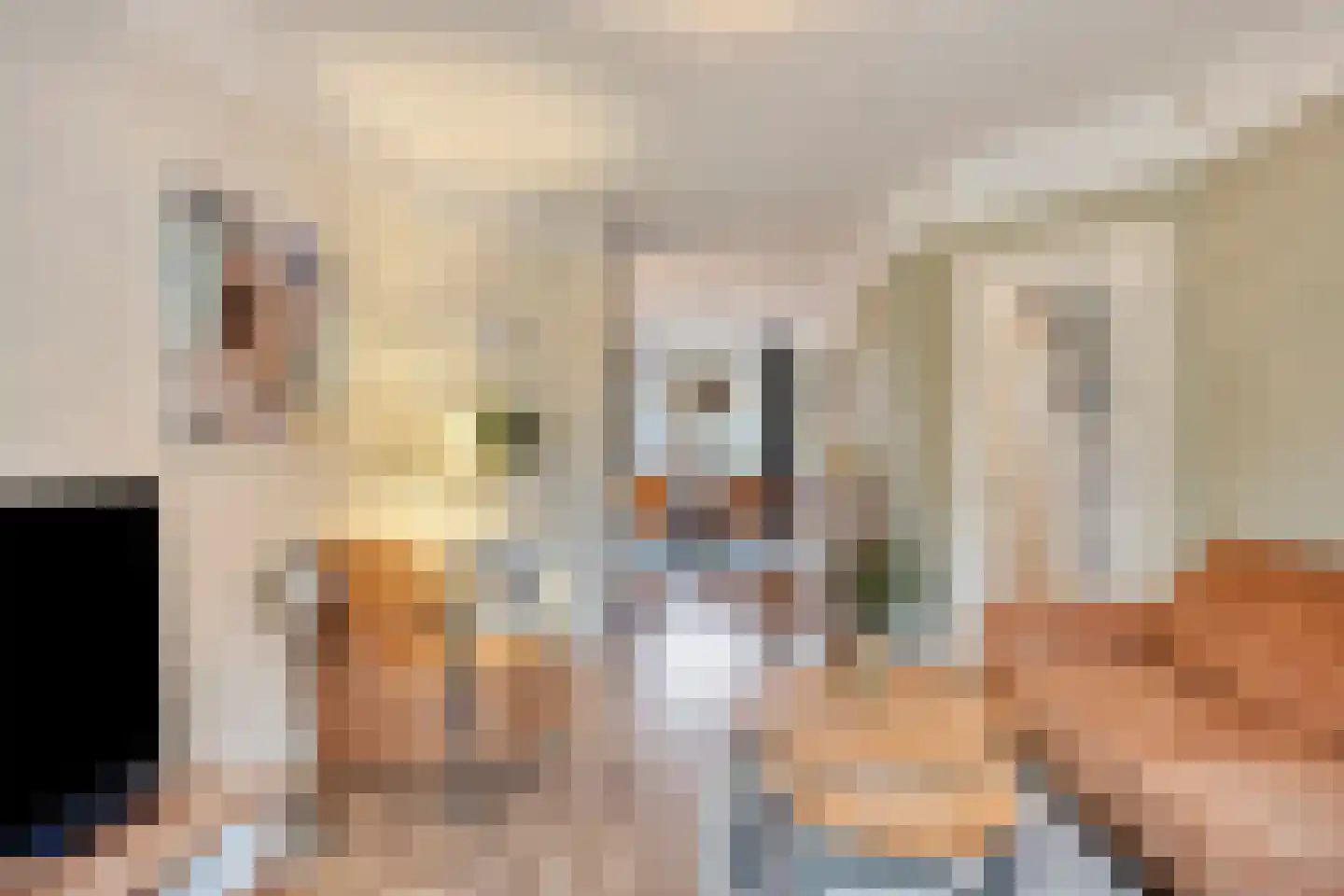 Sparrelaan 28 Rijswijk thumbnail 11
