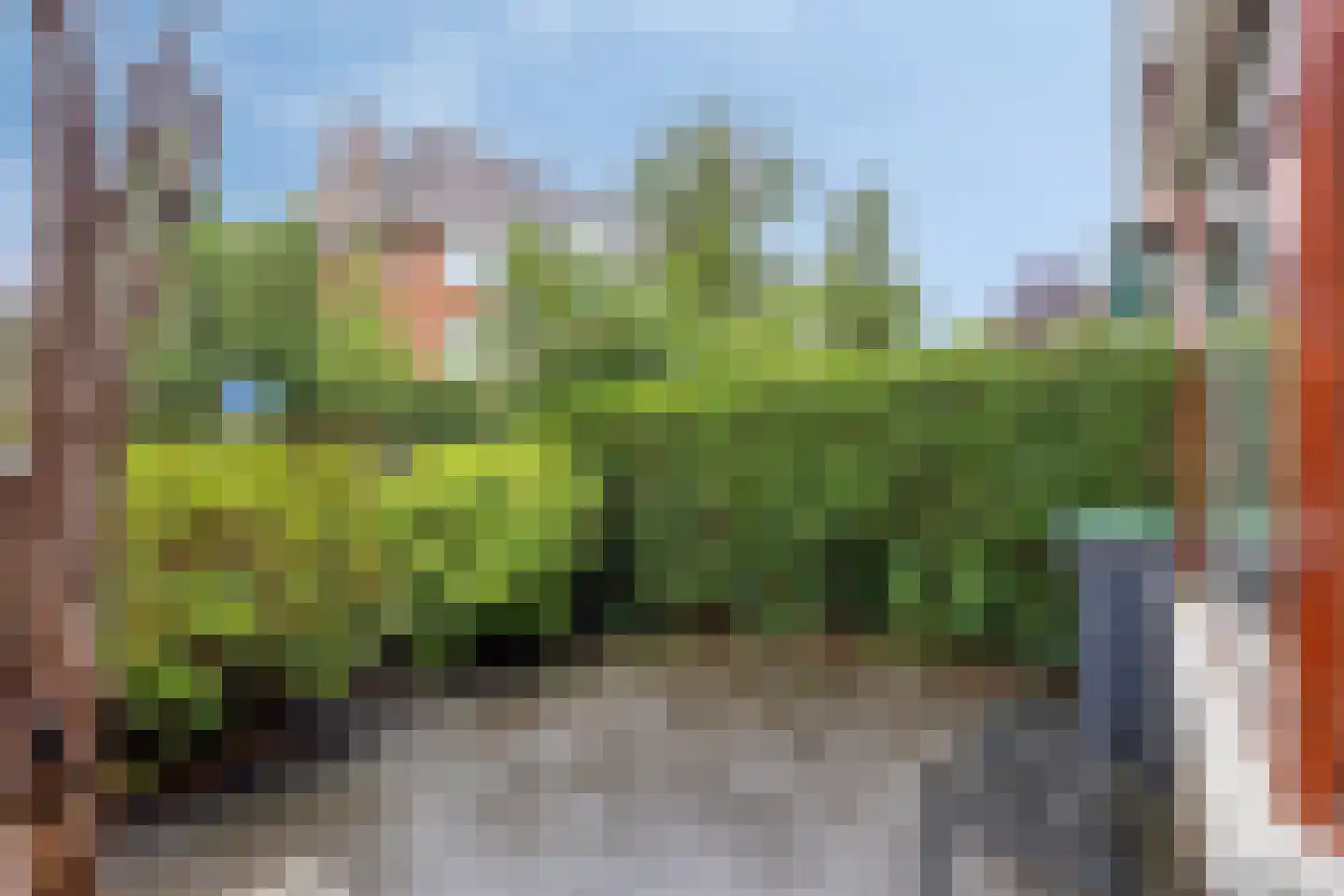 Sparrelaan 28 Rijswijk thumbnail 31