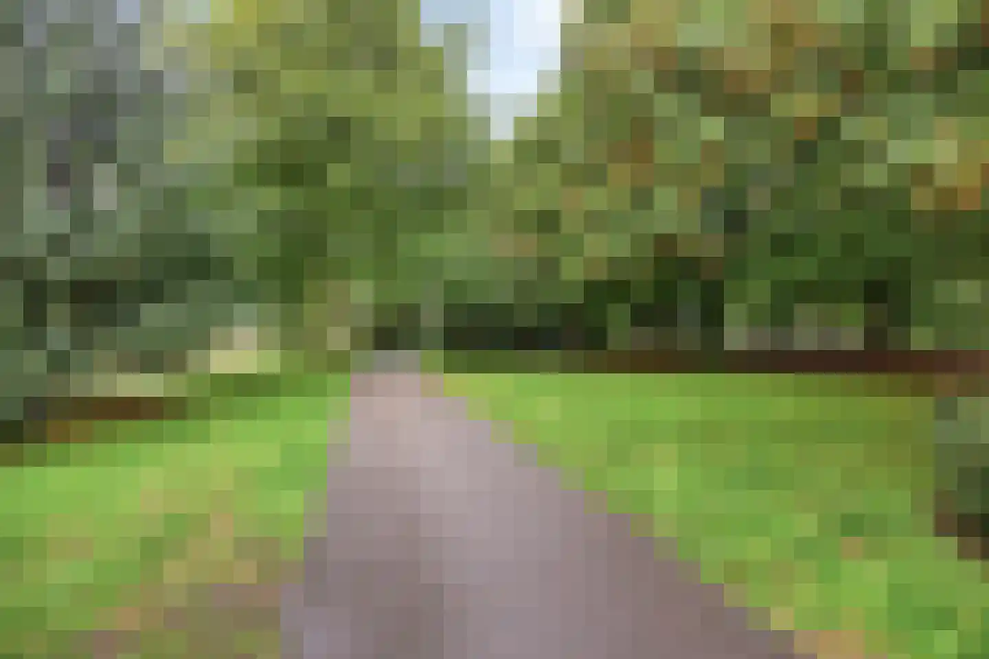 Sparrelaan 28 Rijswijk thumbnail 35