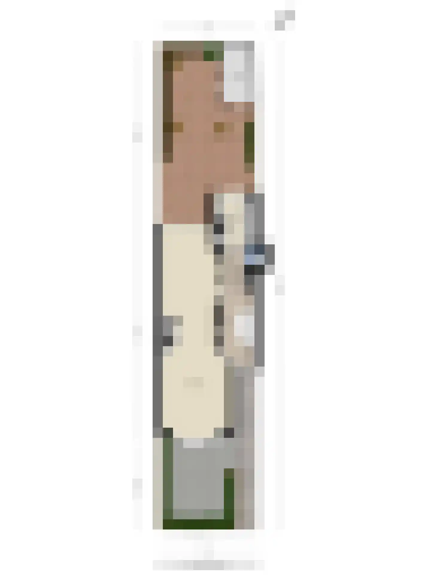 Sparrelaan 28 Rijswijk thumbnail 41