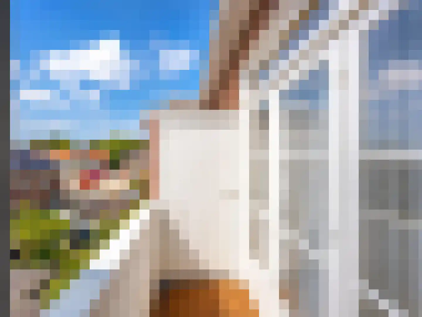 Sparrelaan 64 Rijswijk thumbnail 18