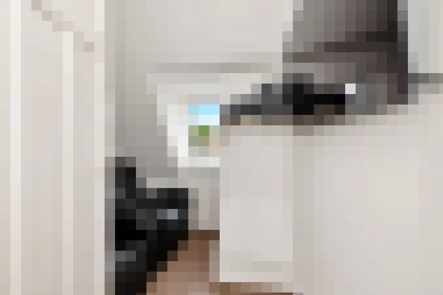Sparrelaan 64 Rijswijk thumbnail 29