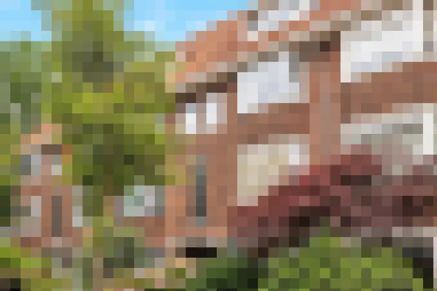 Sparrelaan 64 Rijswijk thumbnail 5