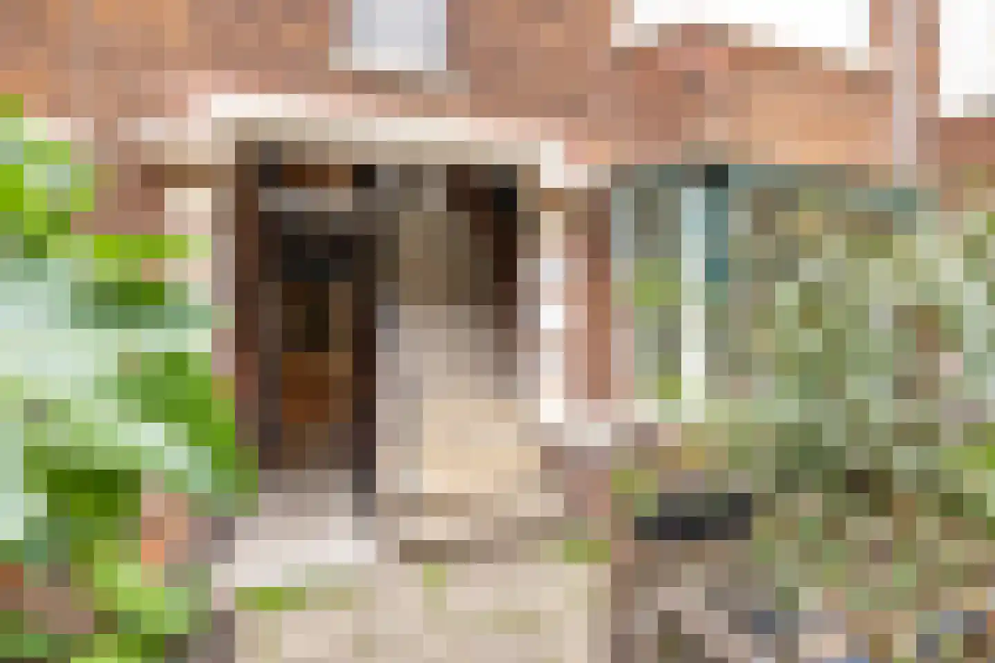 Sparrelaan 64 Rijswijk thumbnail 6