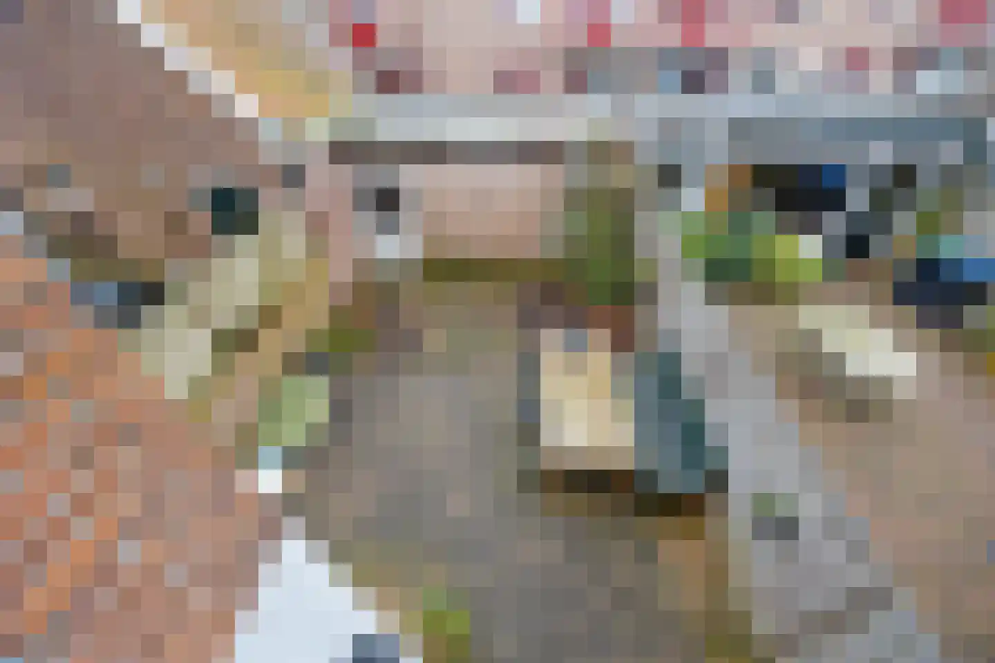 Sparrelaan 70 Rijswijk thumbnail 28