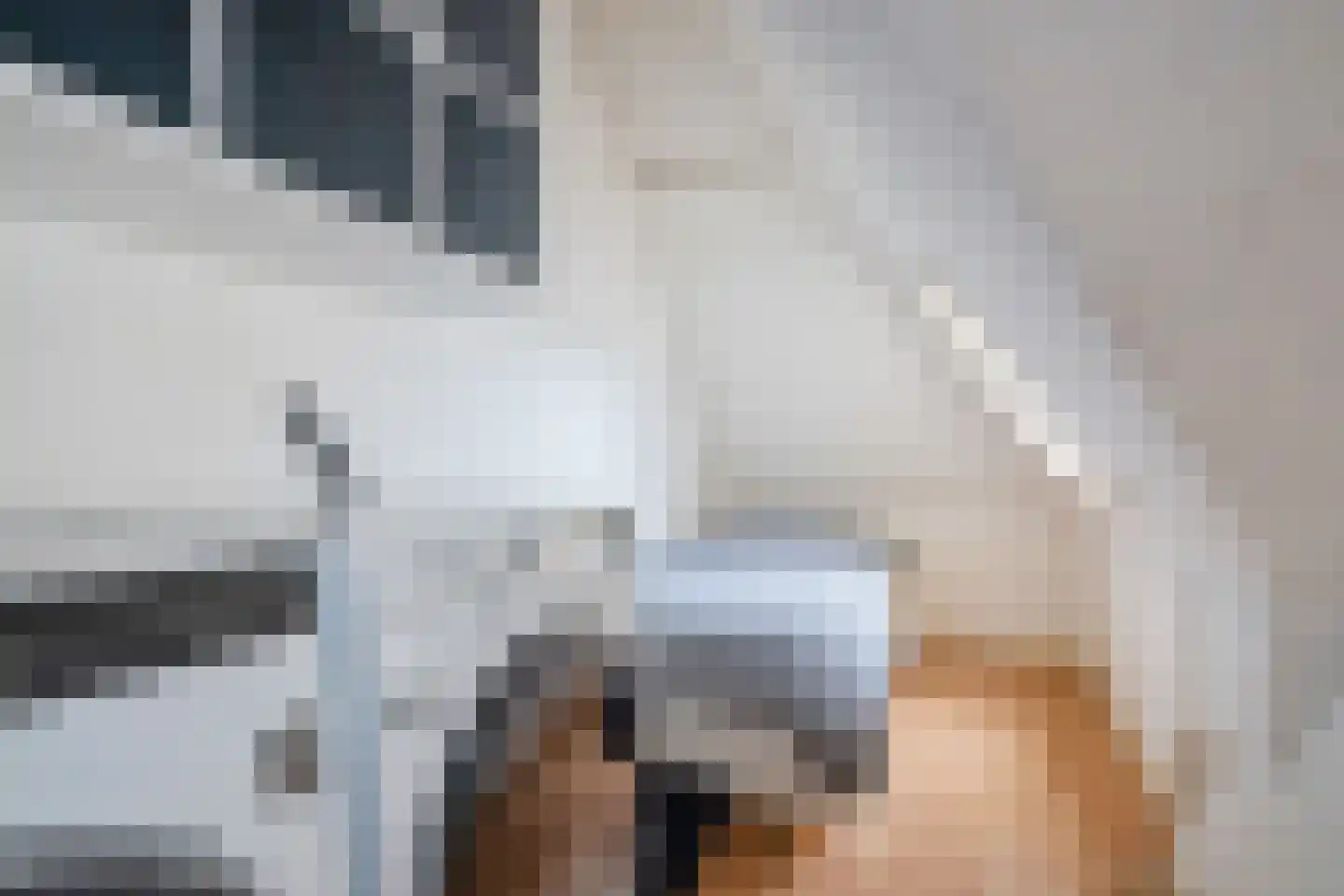 Sparrelaan 72 Rijswijk thumbnail 18