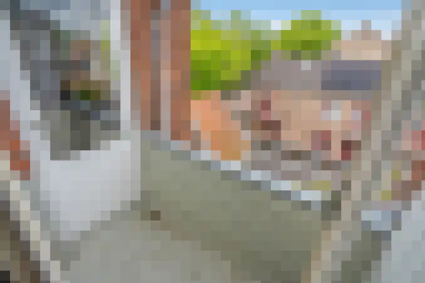 Sparrelaan 72 Rijswijk thumbnail 24