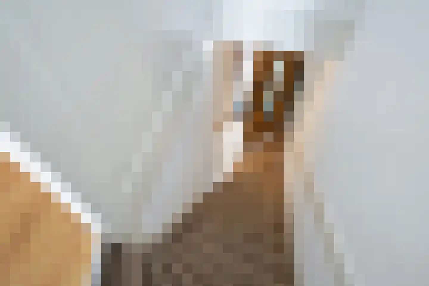 Sparrelaan 72 Rijswijk thumbnail 5