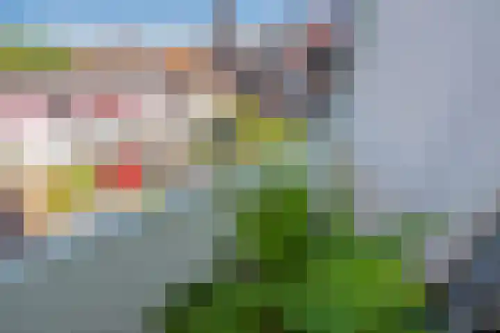 Sparrelaan 8 Rijswijk thumbnail 13