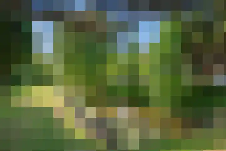 Sparrelaan 8 Rijswijk thumbnail 32