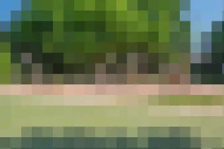 Sparrelaan 8 Rijswijk thumbnail 33