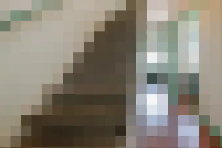 Sparrelaan 8 Rijswijk thumbnail 6