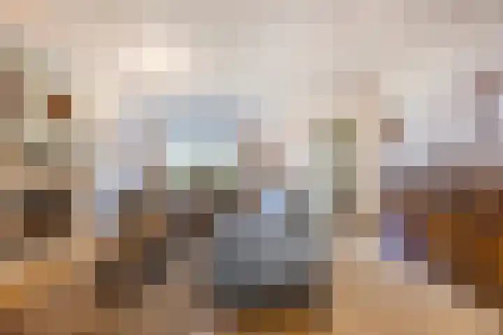 Sparrelaar 13 Veghel thumbnail 10