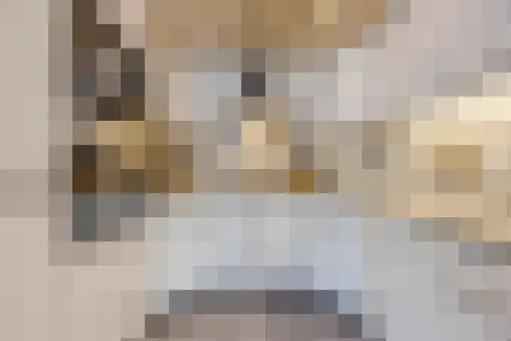 Sparrelaar 13 Veghel thumbnail 14
