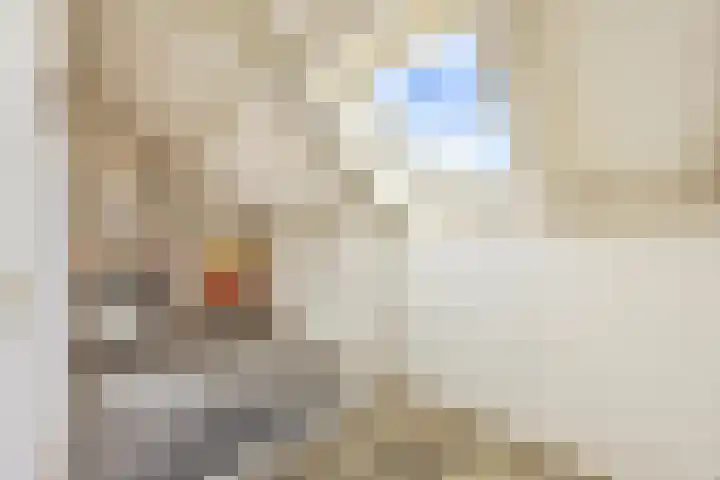 Sparrelaar 13 Veghel thumbnail 28