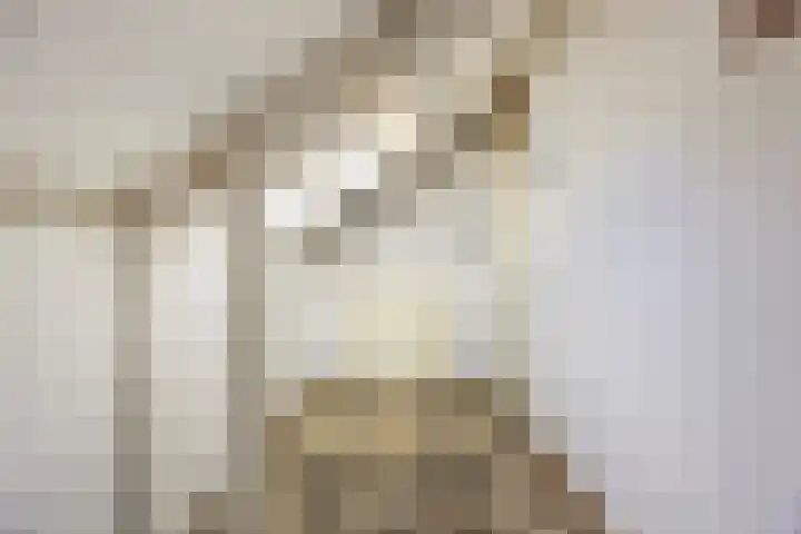 Sparrelaar 13 Veghel thumbnail 29