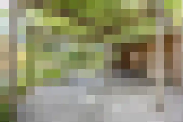 Sparrelaar 13 Veghel thumbnail 33