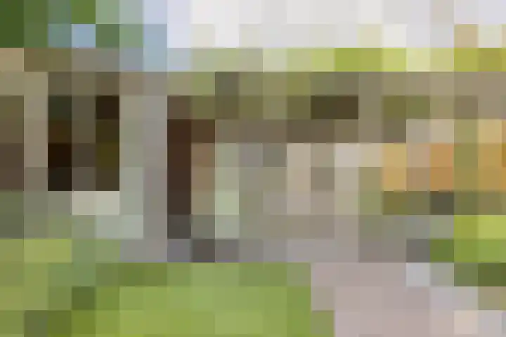 Sparrelaar 13 Veghel thumbnail 38