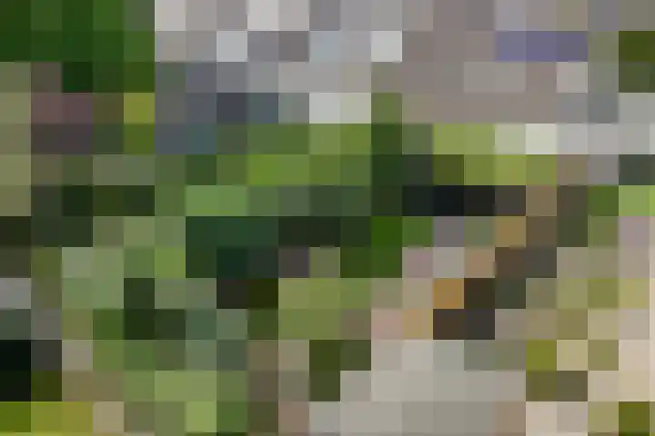 Sparrelaar 13 Veghel thumbnail 39