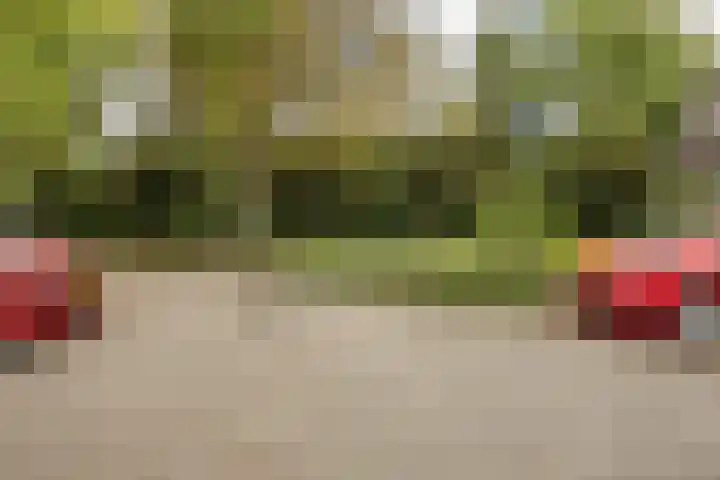 Sparrelaar 13 Veghel thumbnail 44