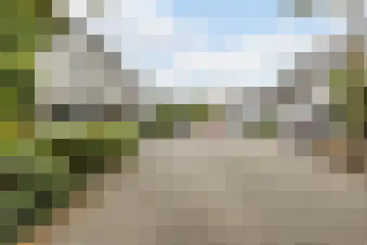 Sparrelaar 13 Veghel thumbnail 45