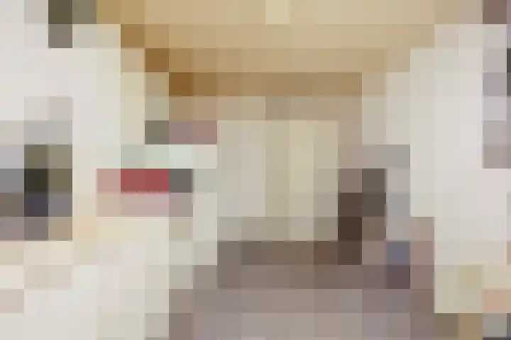 Sparrelaar 13 Veghel thumbnail 5