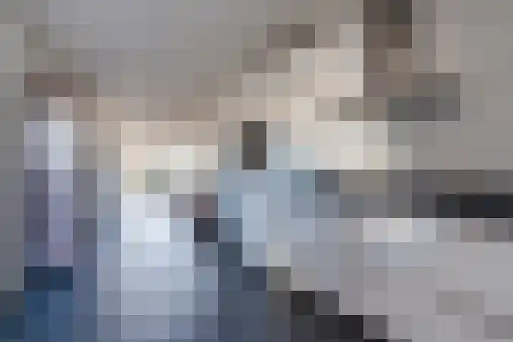 Sparrelaar 3 Veghel thumbnail 11