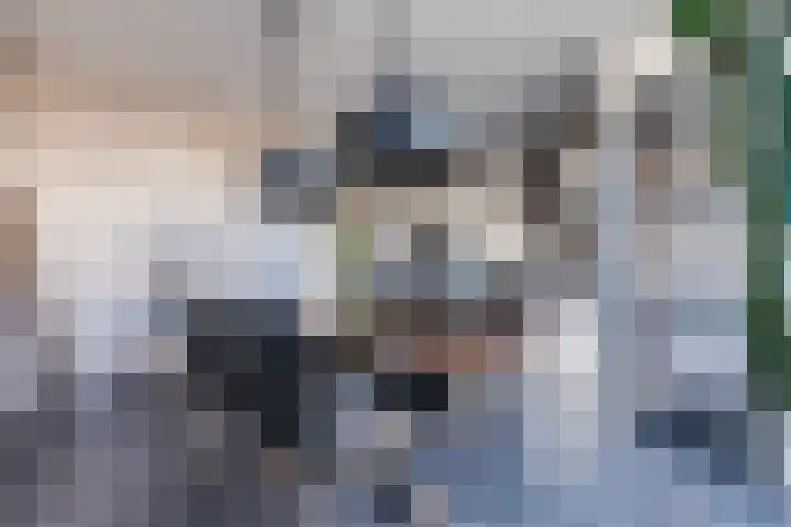 Sparrelaar 3 Veghel thumbnail 13