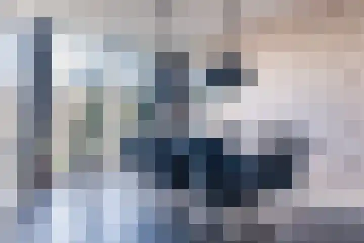 Sparrelaar 3 Veghel thumbnail 14